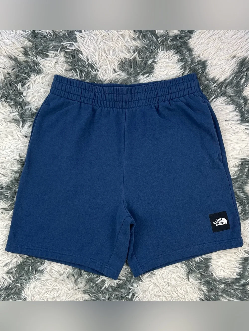 The North Face Men's Never Stop Shorts Shady Blue Size Medium